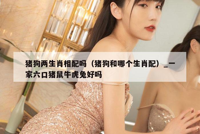 猪狗两生肖相配吗（猪狗和哪个生肖配）_一家六口猪鼠牛虎兔好吗