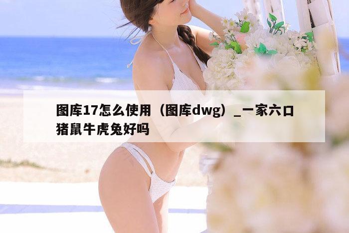 图库17怎么使用（图库dwg）_新澳门六开彩资料大全网址